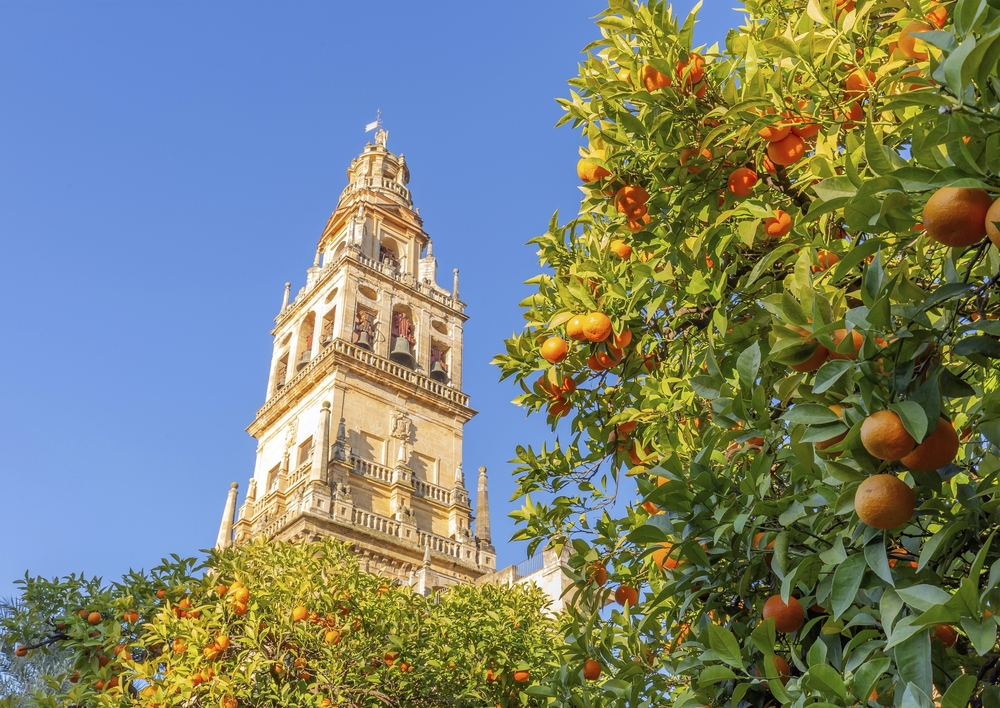 Giralda Turm und Kathedrale in Sevilla, Andalusien