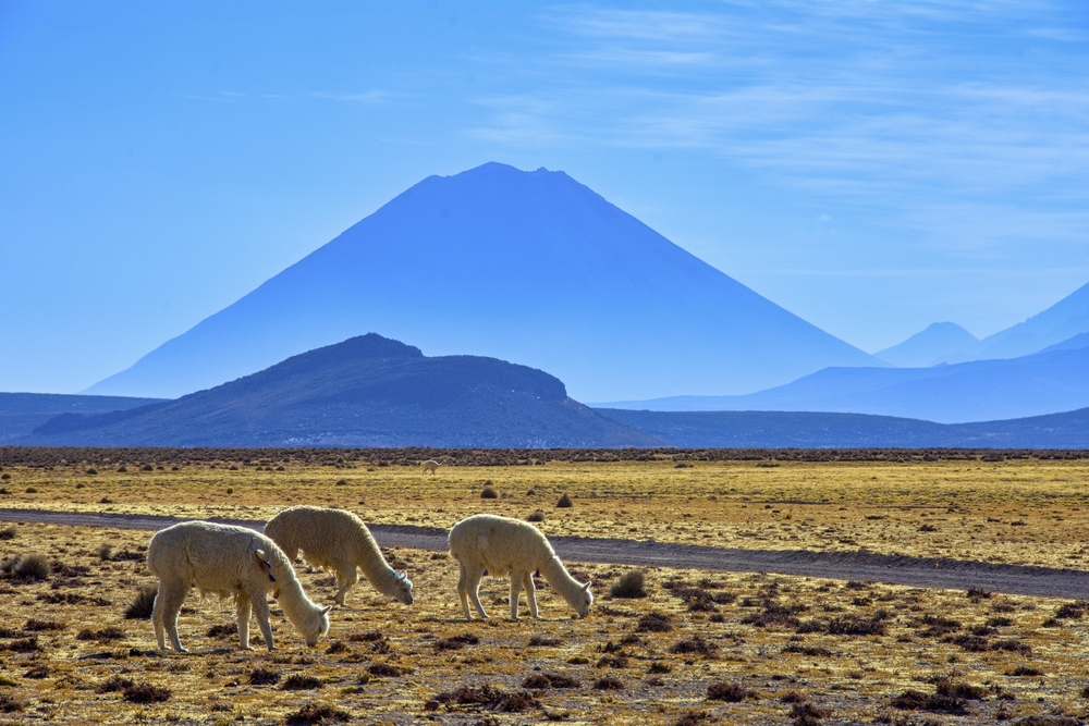 Aguada y Salinas Blancas, Arequipa