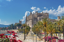 Blühendes Mallorca für Alleinreisende / mix